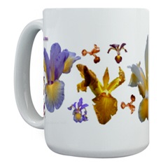 Spuria Irises on a mug